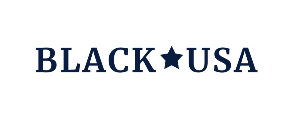 Black USA logo inspiration